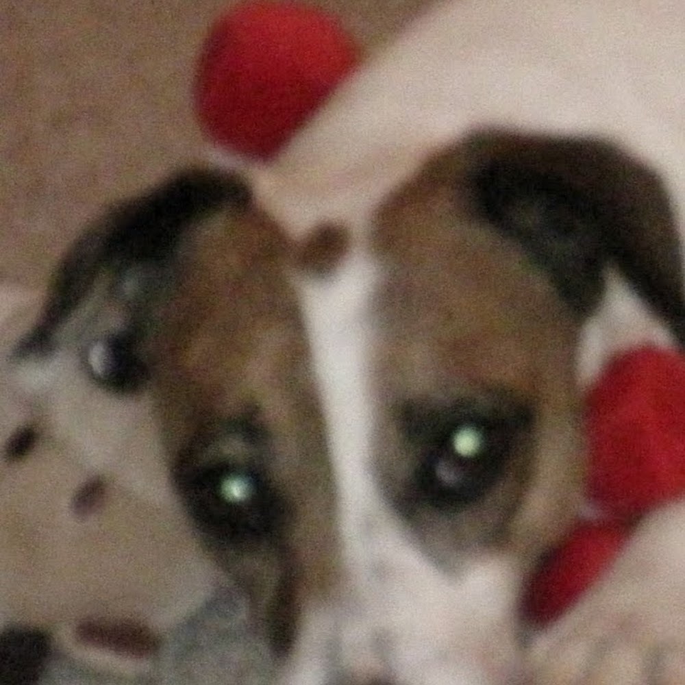 Meet your Posher, Rheanna